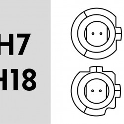 LED N H7 F8