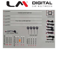 LM AMBIENT AUDI 4