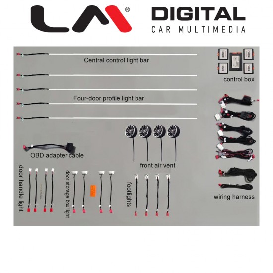 LM AMBIENT AUDI 4