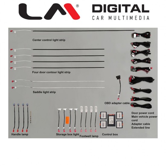 LM AMBIENT AUDI 10