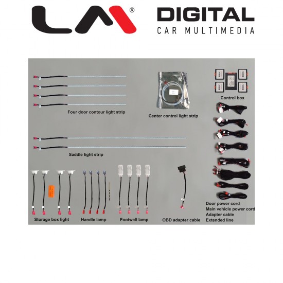LM AMBIENT AUDI 11