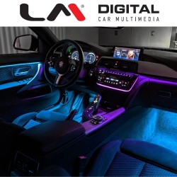 LM AMBIENT BMF481