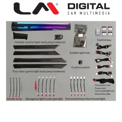 LM AMBIENT HONDA 1