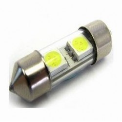 LED 11x31 2SMD