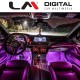 LM AMBIENT BMF301