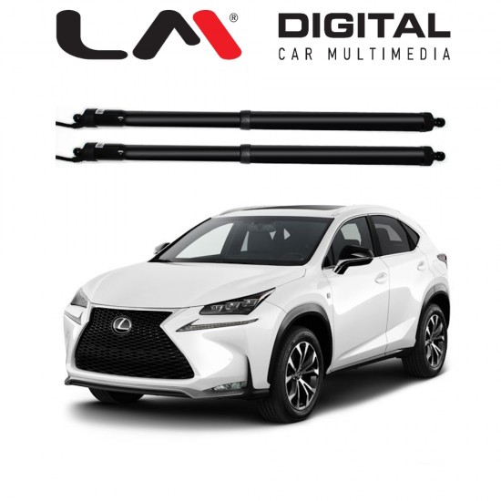TAILGATE LX6061