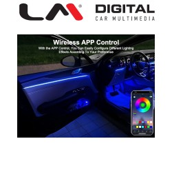 LM DT001