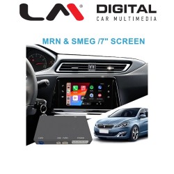 LM CPAA BOX PGCT3016