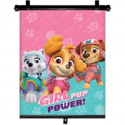 Amio - ΚΟΥΡΤΙΝΑΚΙ ΗΛΙΟΠΡΟΣΤΑΣΙΑΣ ΣΕ ΡΟΛΟ PAW PATROL GIRL 36x45cm ΓΙΑ ΠΛΑΙΝΟ ΤΖΑΜΙ/ΠΙΣΩ ΠΑΡΜΠΡΙΖ - 1 ΤΕΜ. (S34025/AM)