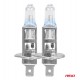 H1 12V 55W P14,5s LumiTec NEXT GENERATION +135%  2ΤΕΜ.