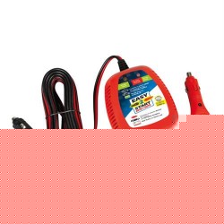 ΡΕΥΜΑΤΟΔΟΤΗΣ ΜΕ ΦΙΣ ΑΝΑΠΤΗΡΑ 12V 8Ah EASY 2 START 15-20min